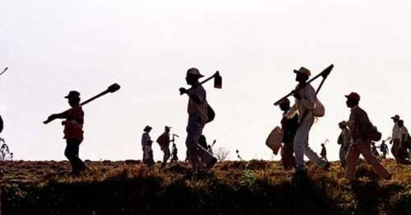 Quem sai de A Fazenda hoje? Votação da enquete escancara ranço de